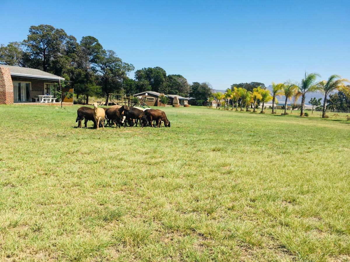 Witzenberg Guest Farm Hotel Wolseley Exterior photo